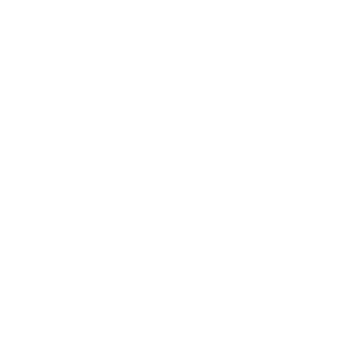 Custom icon