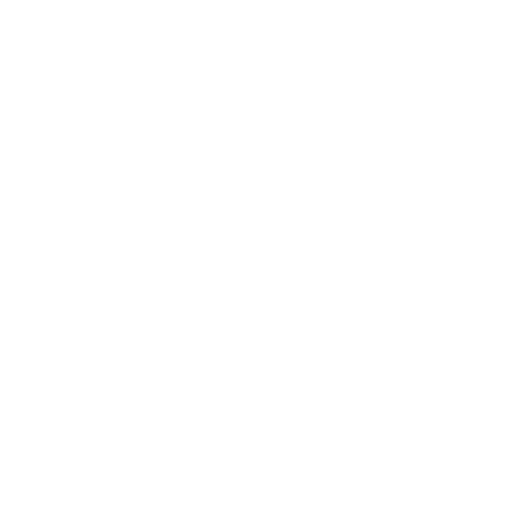 Custom icon