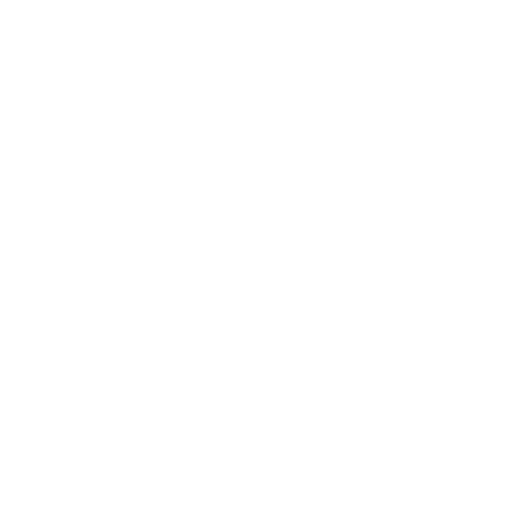 Custom icon