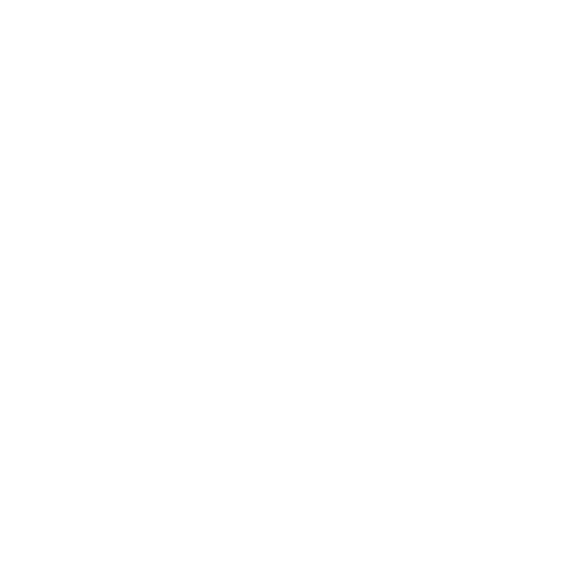 Custom icon