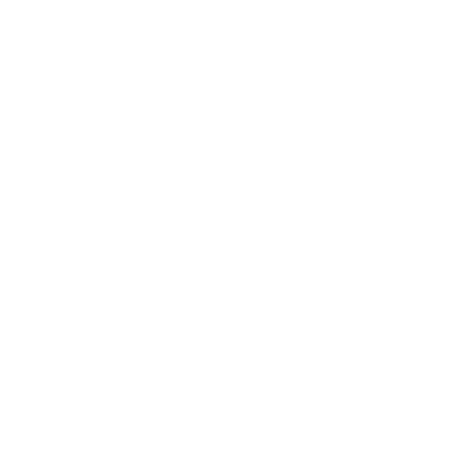 Custom icon