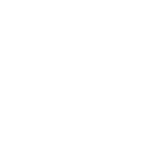 Custom icon